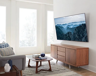 Television Mounting Services