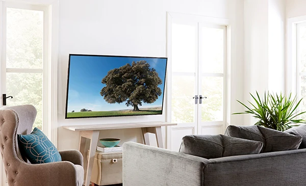 A mounted flat-screen television in a living room in Delray Beach, FL, installed by expert TV mounting services.