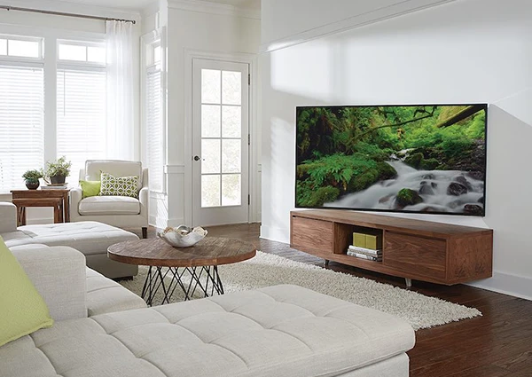 Professionally mounted TV in a stylish living room.